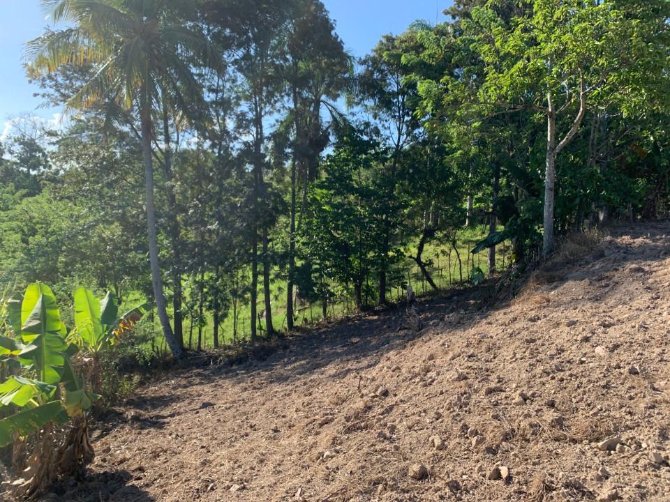 solares y terrenos - Terreno en BUENA VISTA 4