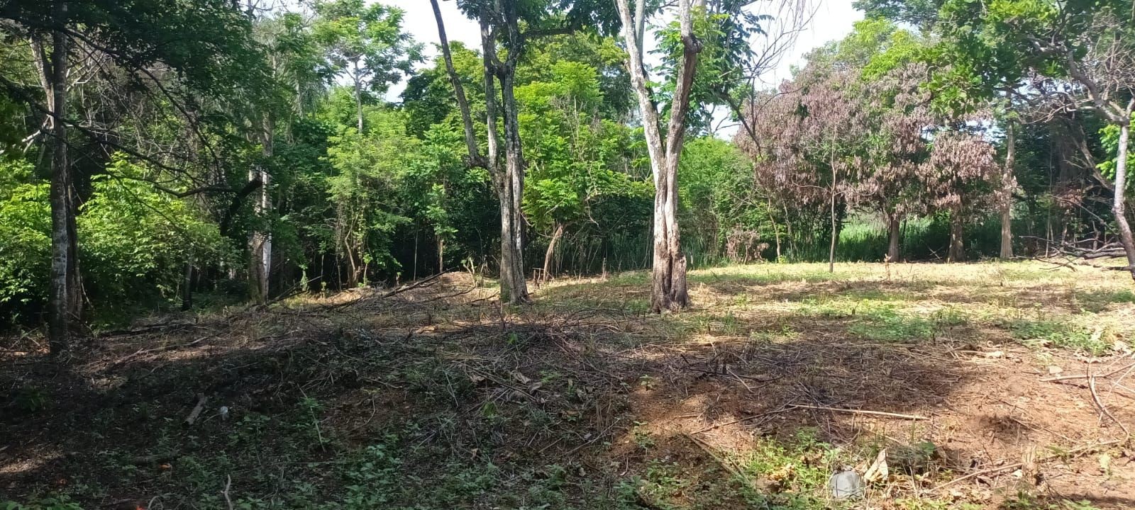 solares y terrenos - Excelente terreno en venta ubicado en KM 22 de la Autopista Duarte. 4