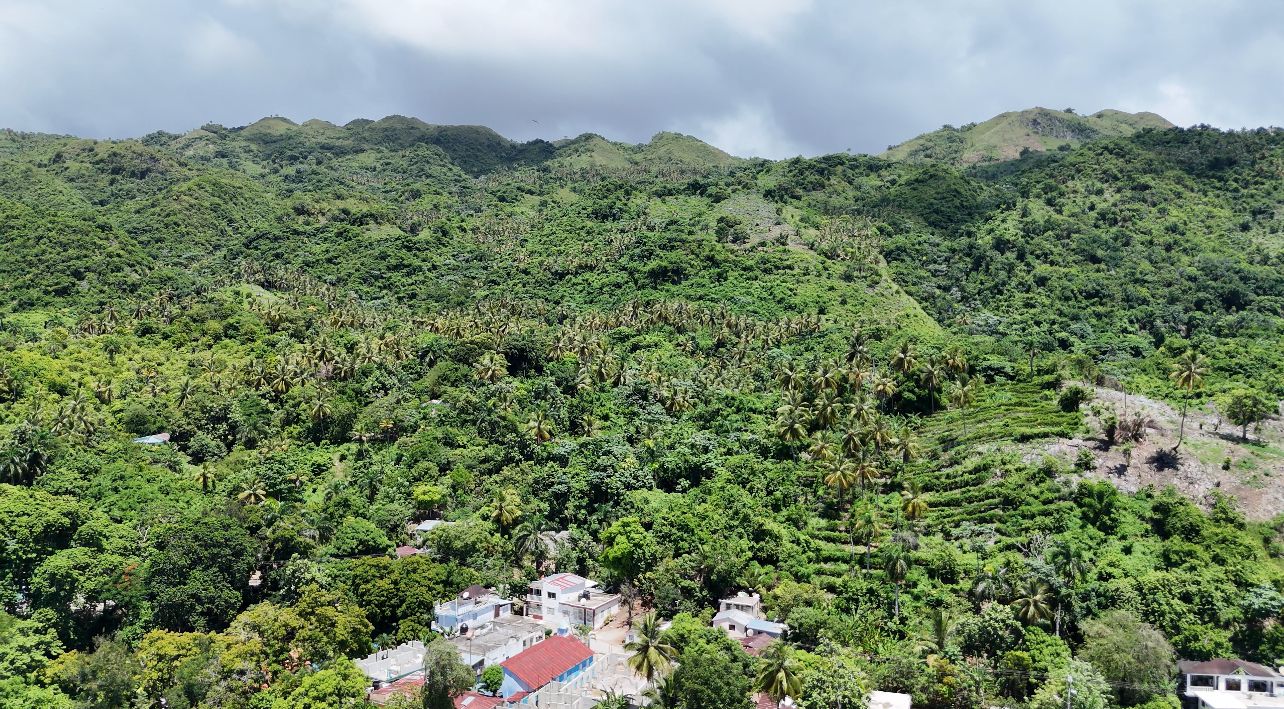 solares y terrenos - FINCA CON VISTA AL MAR Y LAS MONTAÑAS DE SAMANÁ 3