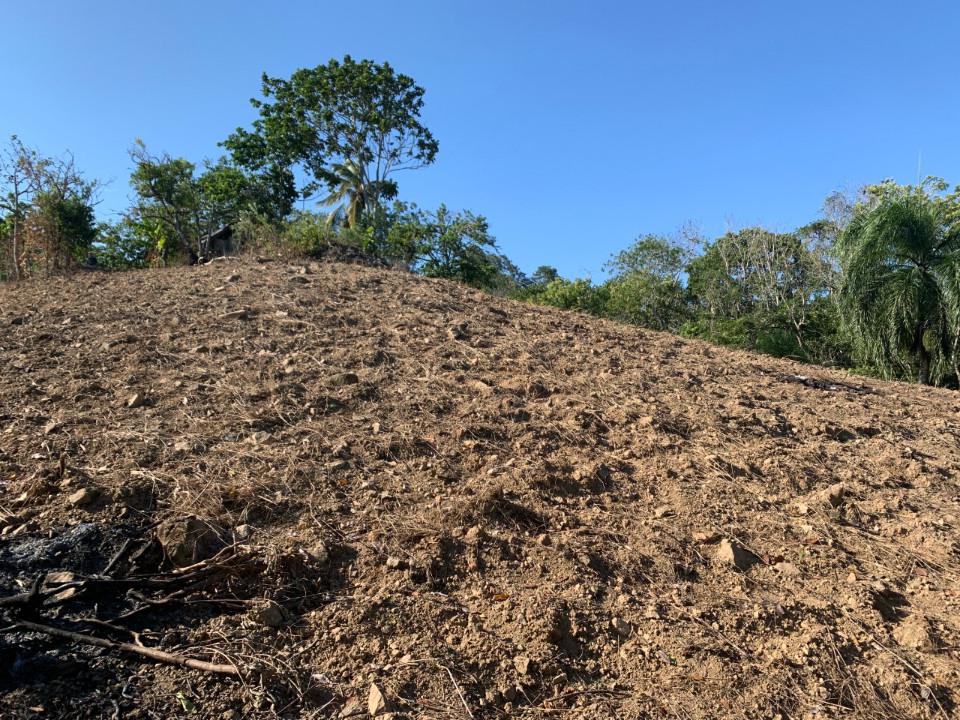 solares y terrenos - Terreno en BUENA VISTA 8