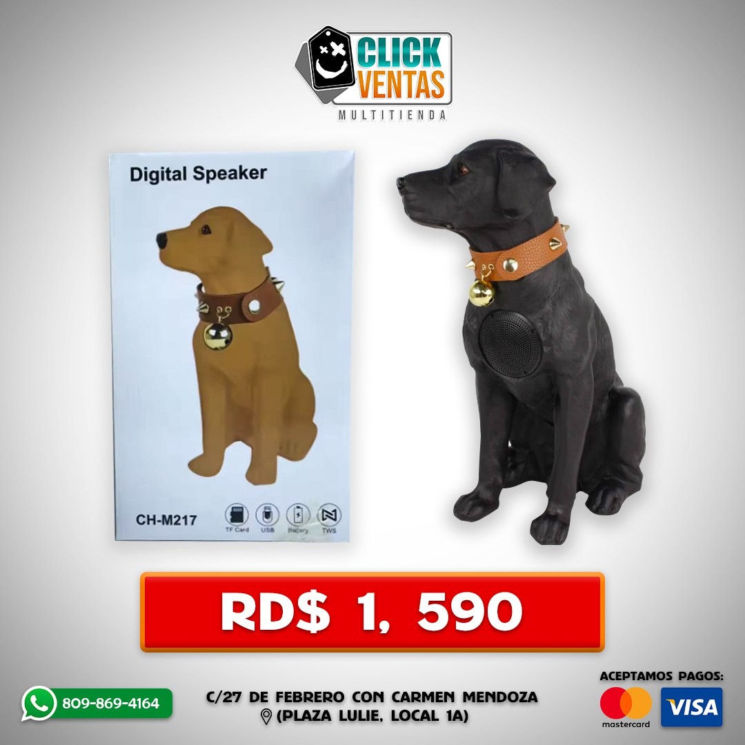 camaras y audio - Altavoz digital, bocina de perrito, bocina recargable, bocina CH-M257 2