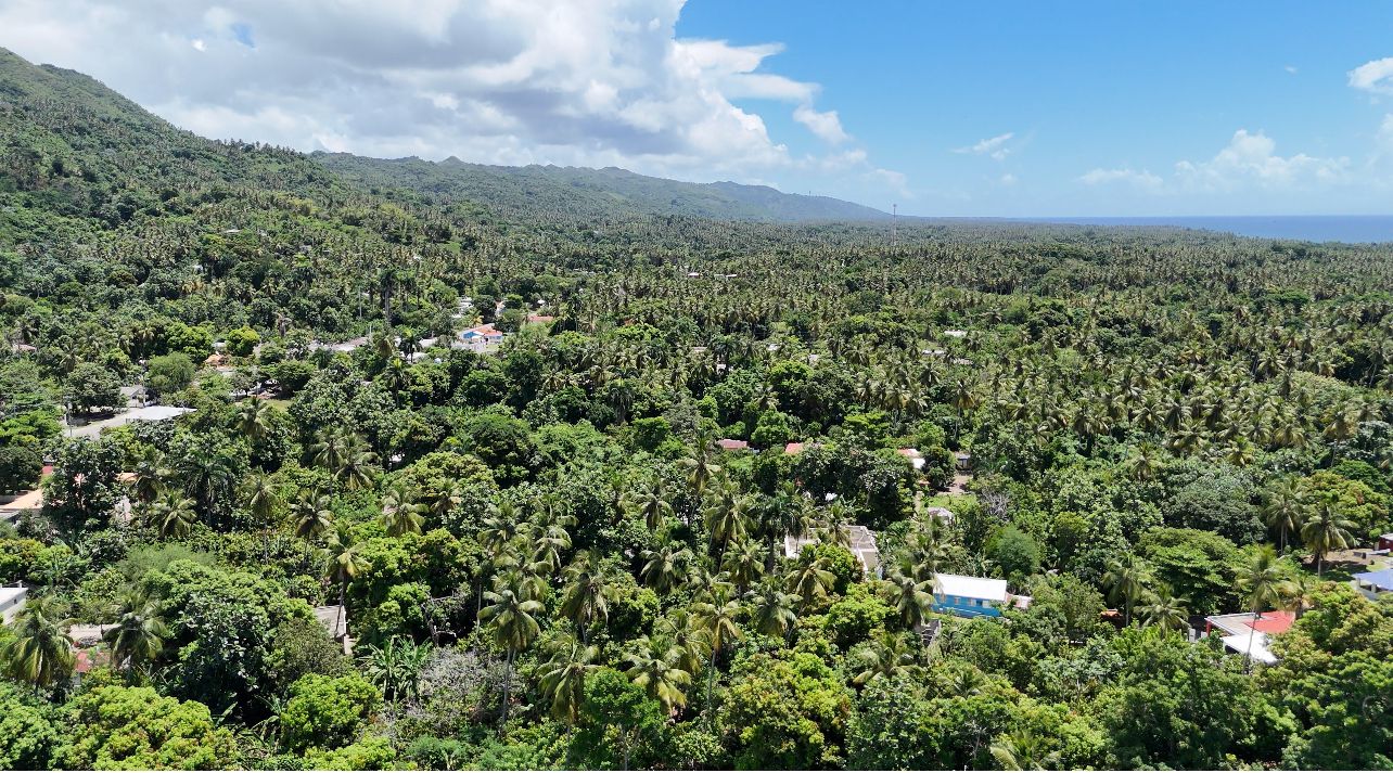 solares y terrenos - FINCA CON VISTA AL MAR Y LAS MONTAÑAS DE SAMANÁ 5