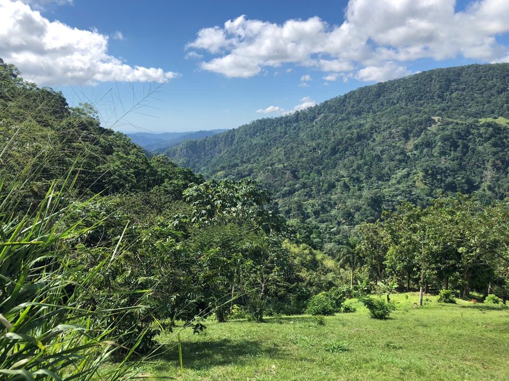 solares y terrenos - Vendo terreno de 1,100 Mts2. en la Montaña de san cuesto al 
La colonia  2