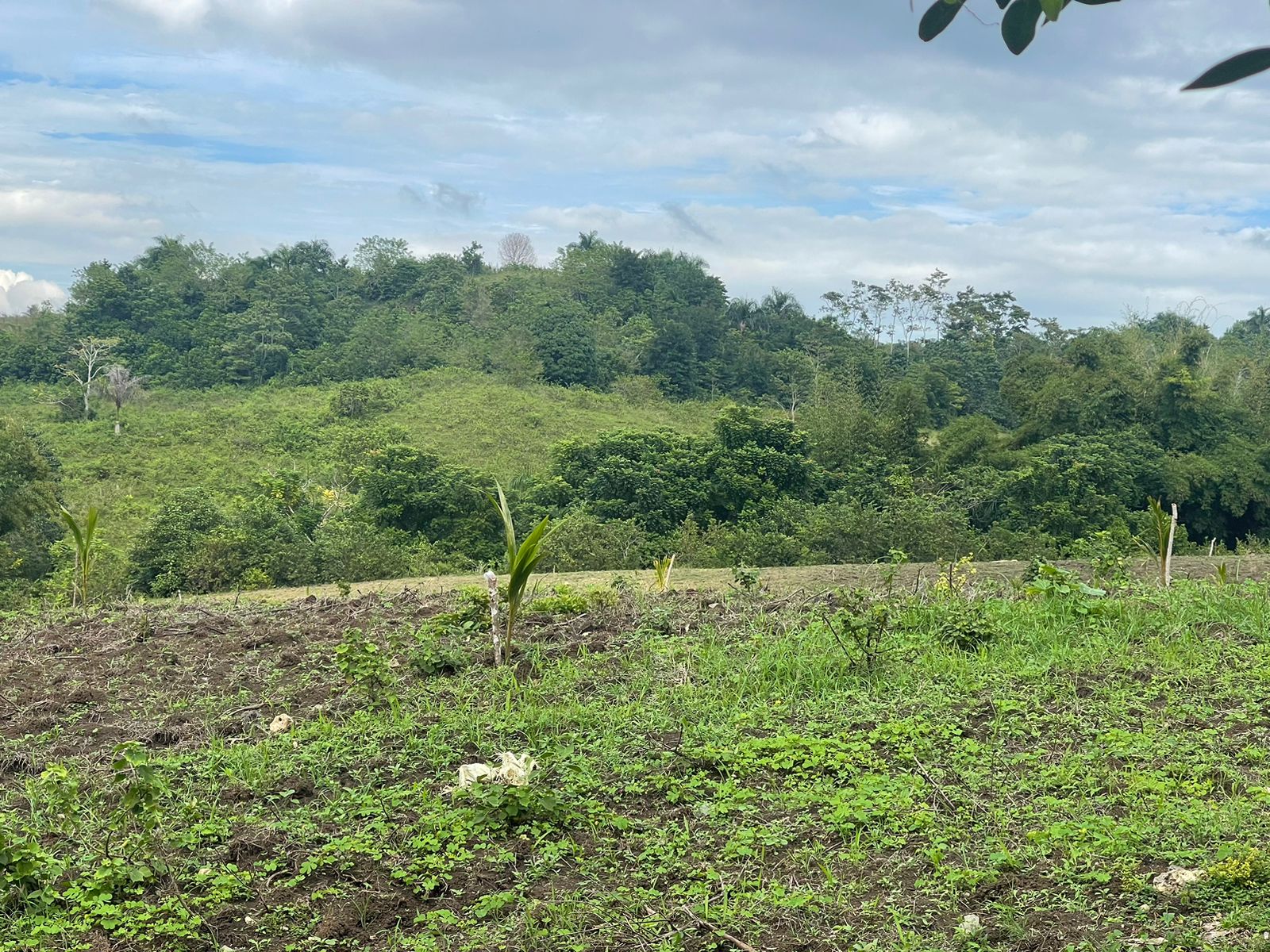 solares y terrenos - Finca en venta a 20 kilómetros de Monte plata y 60 kilómetros de Santo Dominto  1