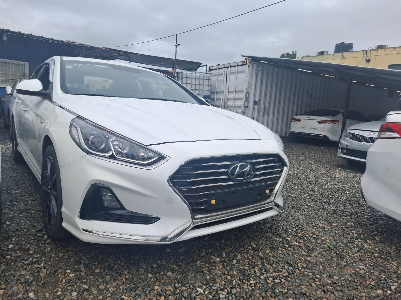 carros - HYUNDAI SONATA NEW RICE 2019