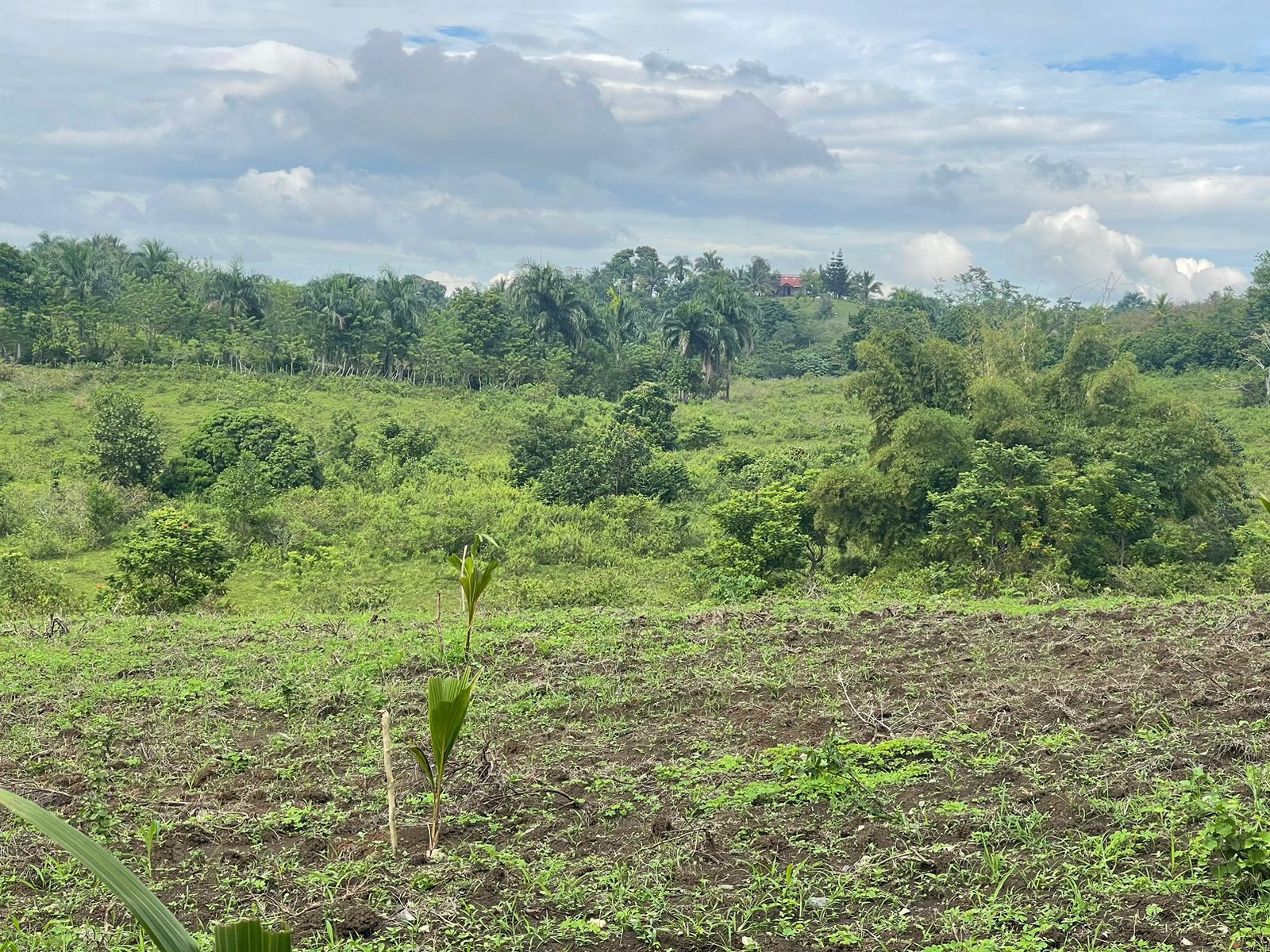 solares y terrenos - Finca en venta a 20 kilómetros de Monte plata y 60 kilómetros de Santo Dominto  2