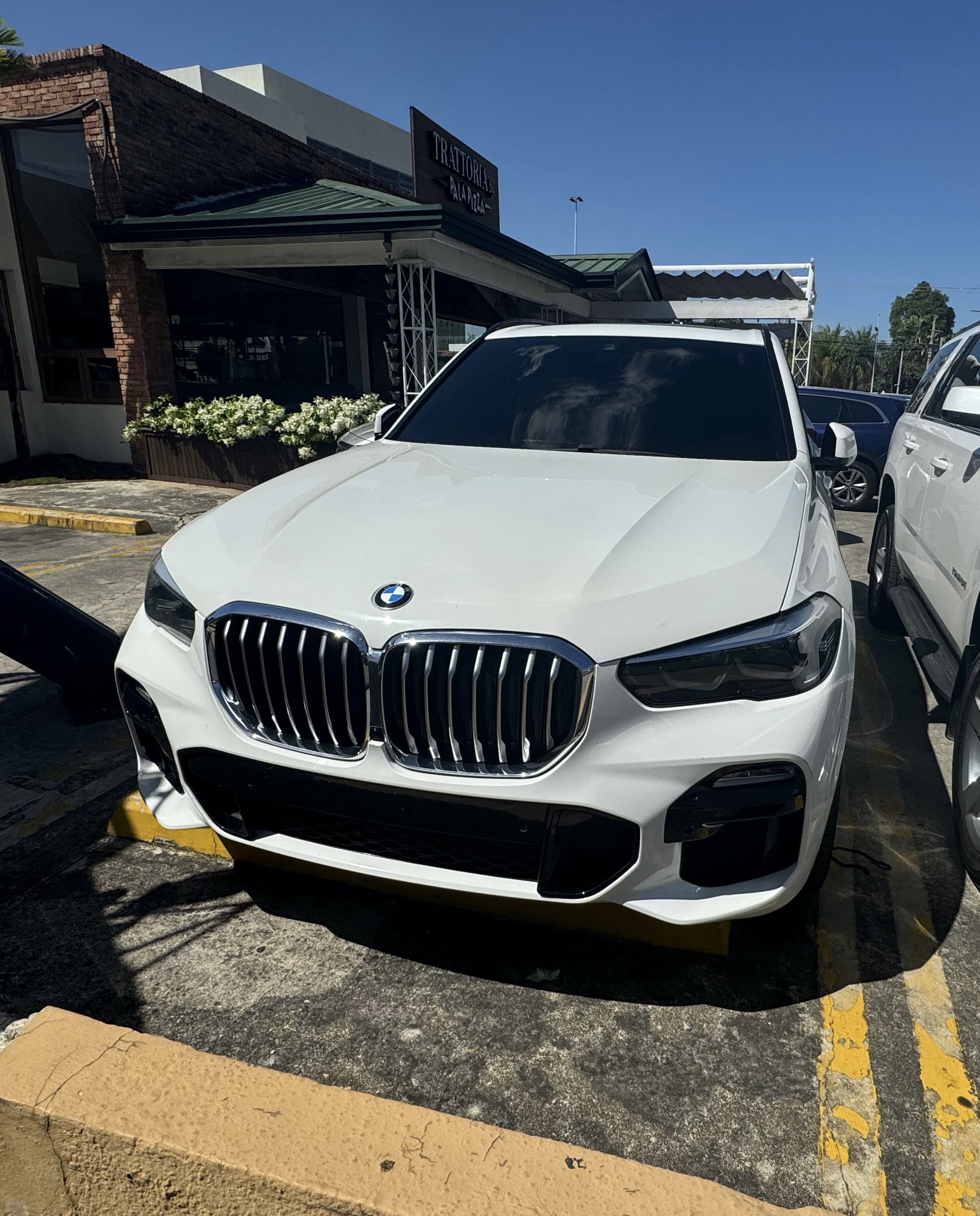 jeepetas y camionetas - BMW X5 2019