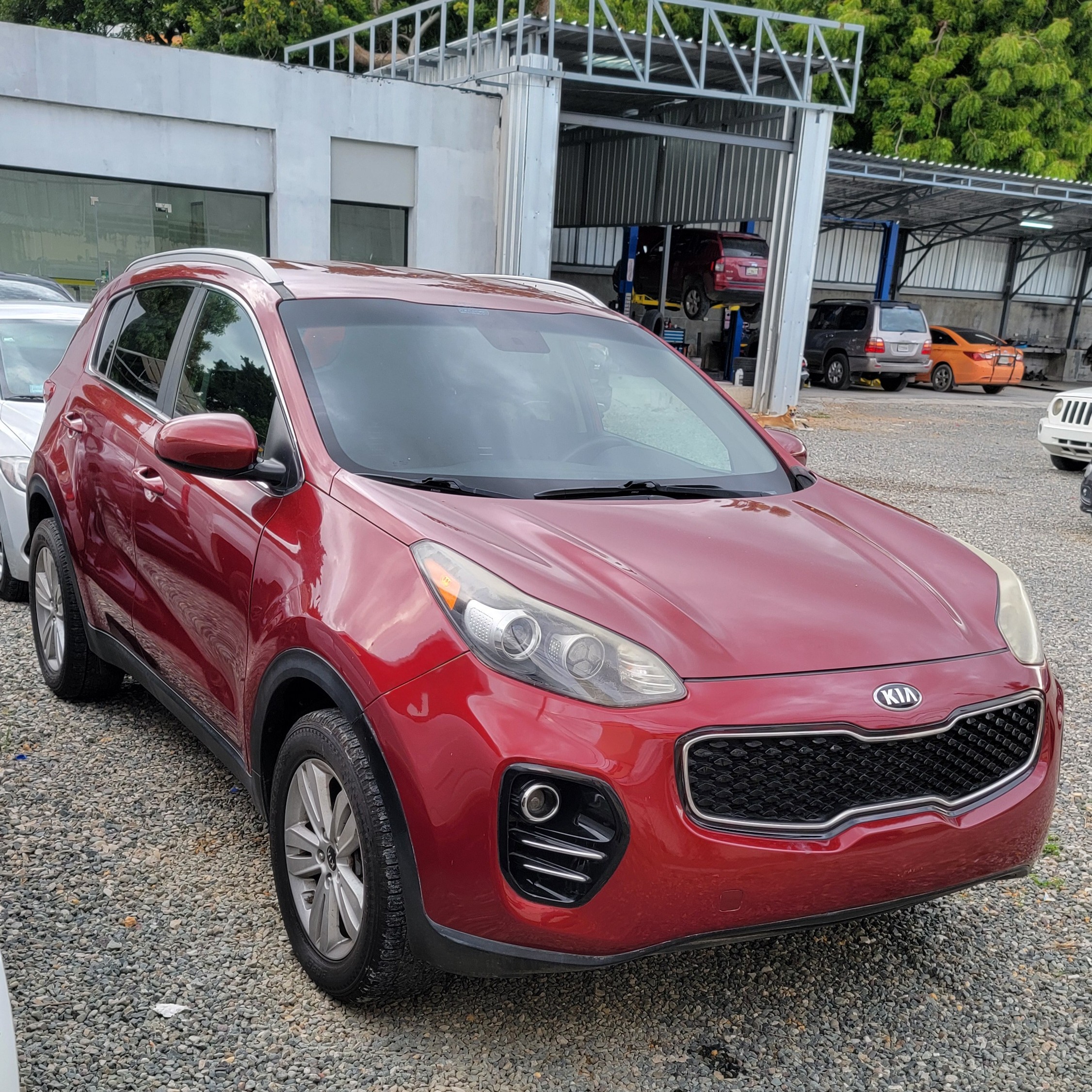 jeepetas y camionetas - KIA SPORTAGE  2017  0