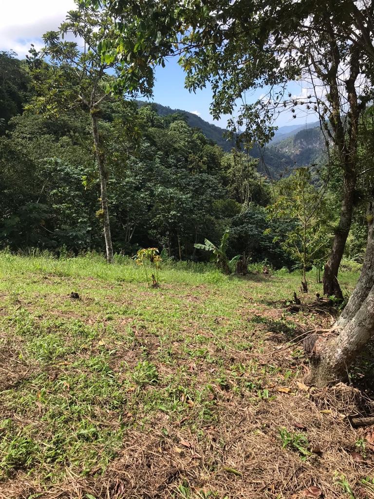 solares y terrenos - Vendo terreno de 1,100 Mts2. en la Montaña de san cuesto al 
La colonia  5