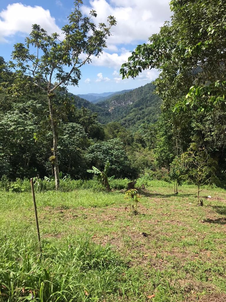 solares y terrenos - Vendo terreno de 1,100 Mts2. en la Montaña de san cuesto al 
La colonia  7