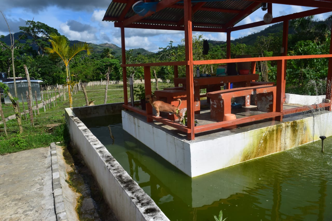 casas vacacionales y villas - VILLA DE LUJO,  AMUEBLADA, 2 NIVELES, EN LA MONTAÑA DE  ANAMUYA, HIGUEY, 800 Mts 7