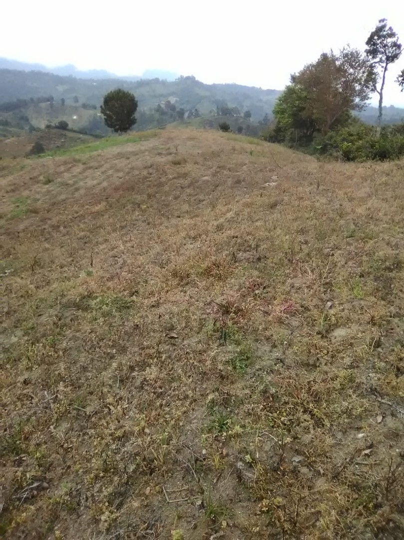 solares y terrenos - Jarabacoa en la jagua 61tareas de tierra.
Lugar paradisíaco. 