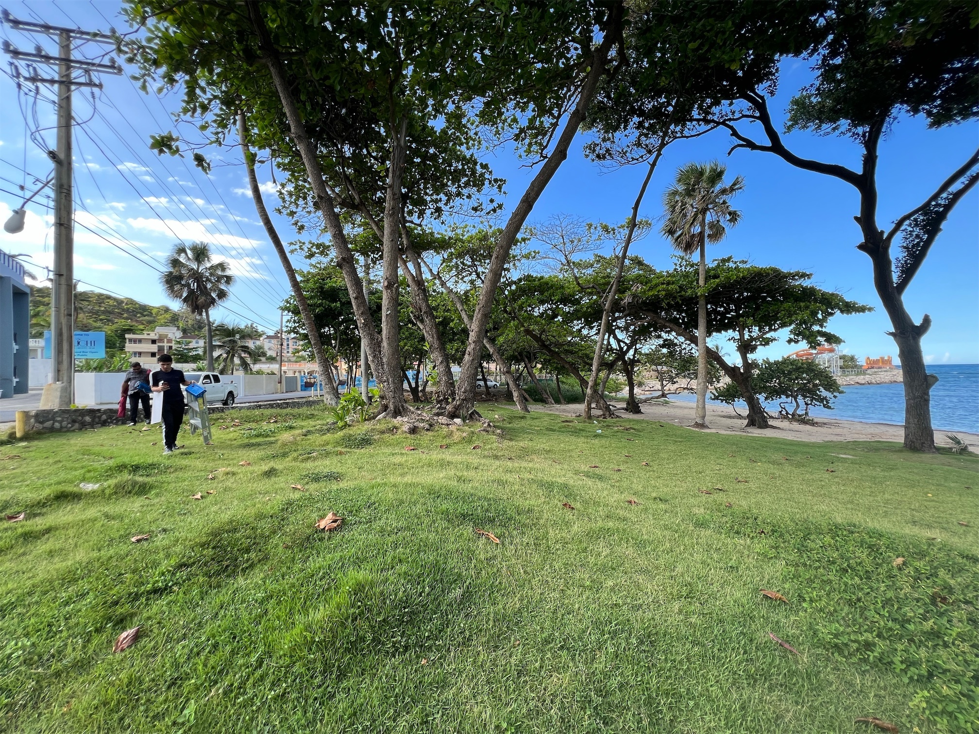 solares y terrenos - Solar para gran proyecto o casa de playa un gran paraíso 3