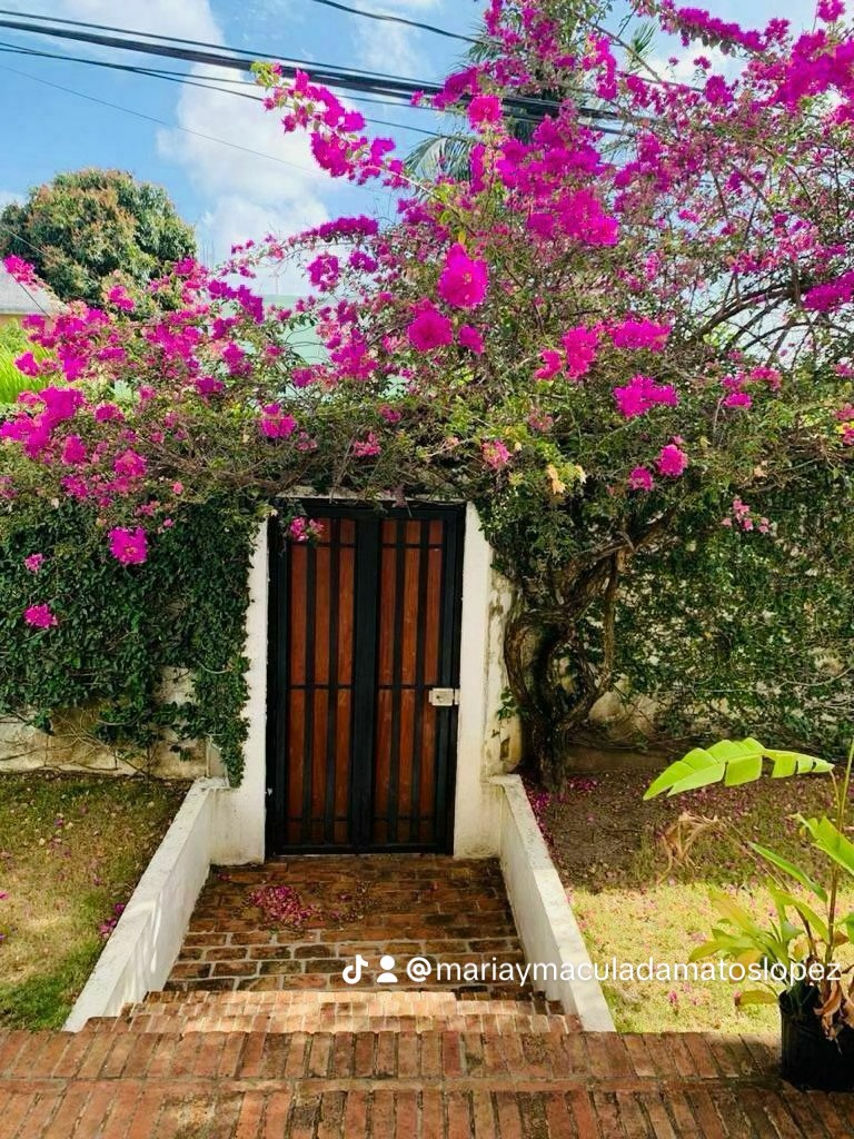 casas - Vendo en Casa en Alameda, Santo Domingo Oeste 0