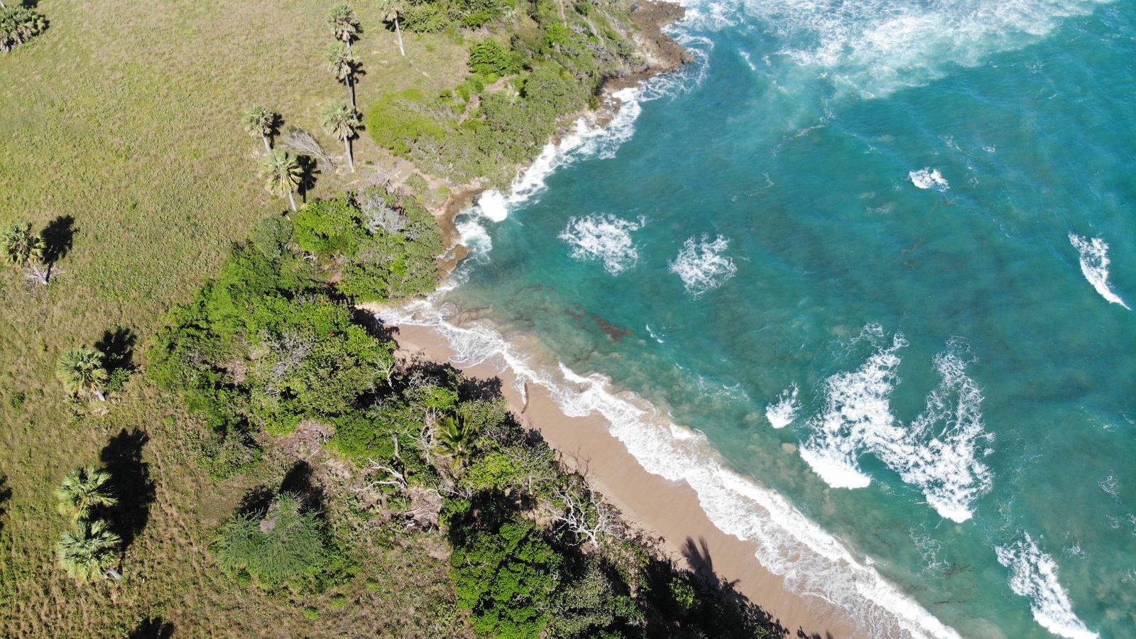 solares y terrenos - Se vende 150 tareas, gran oportunidad para inversión en la costa Norte. 6