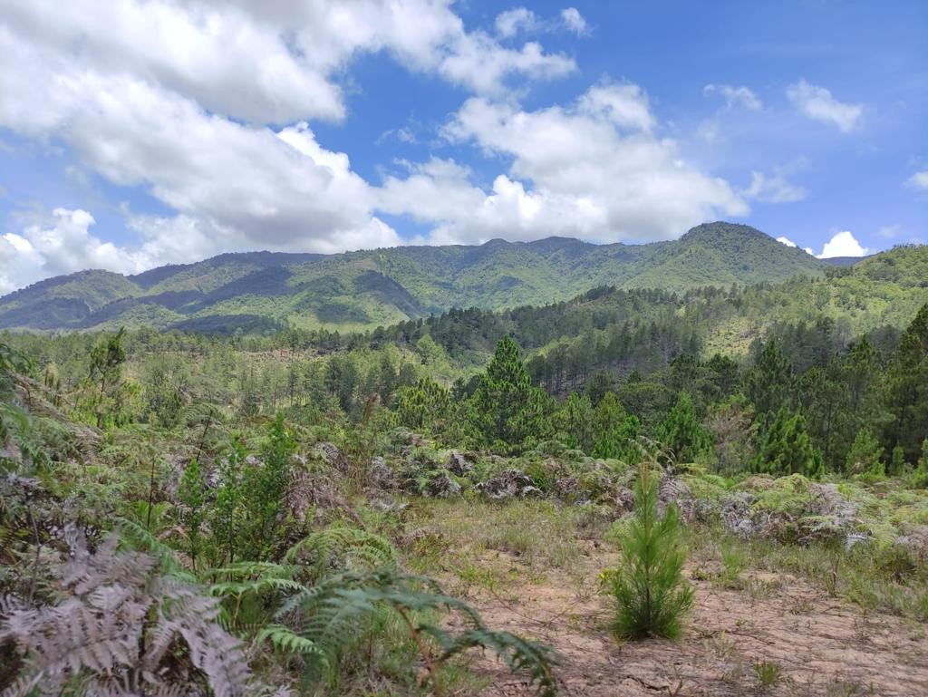 solares y terrenos - Solares Disponibles a Pocos Minutos de Constanza  0