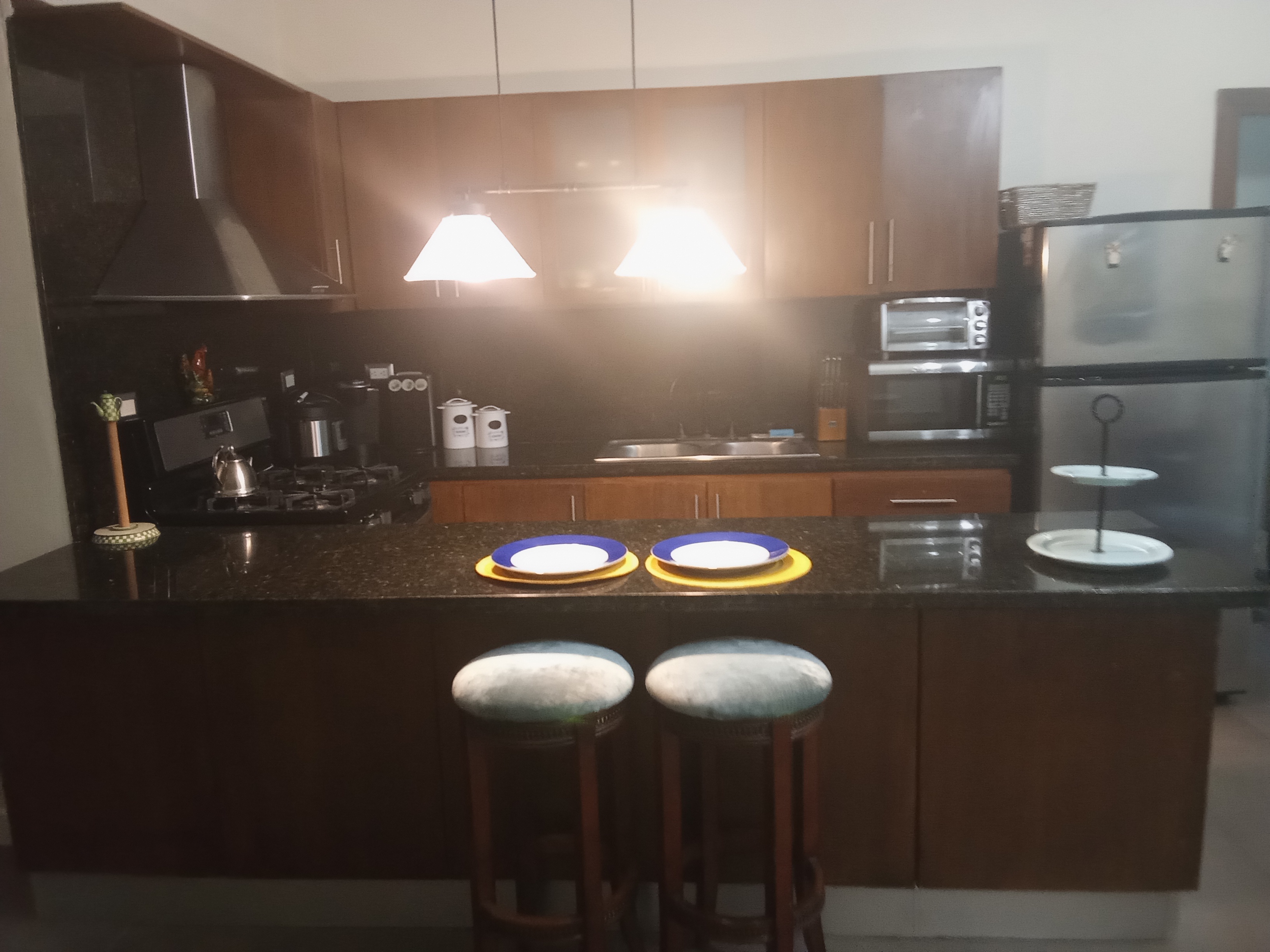 apartamentos - rento Amueblado naco 1,500 4