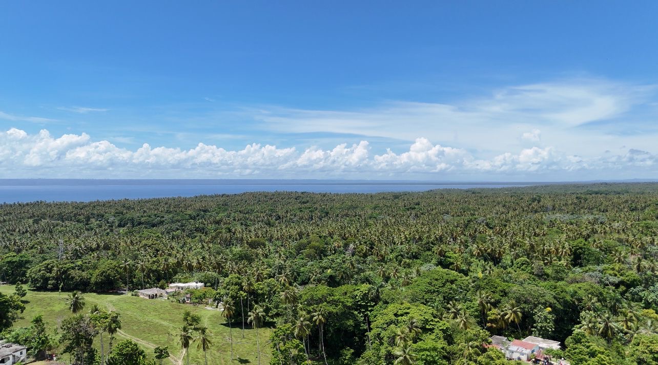 solares y terrenos - FINCA CON VISTA AL MAR Y LAS MONTAÑAS DE SAMANÁ