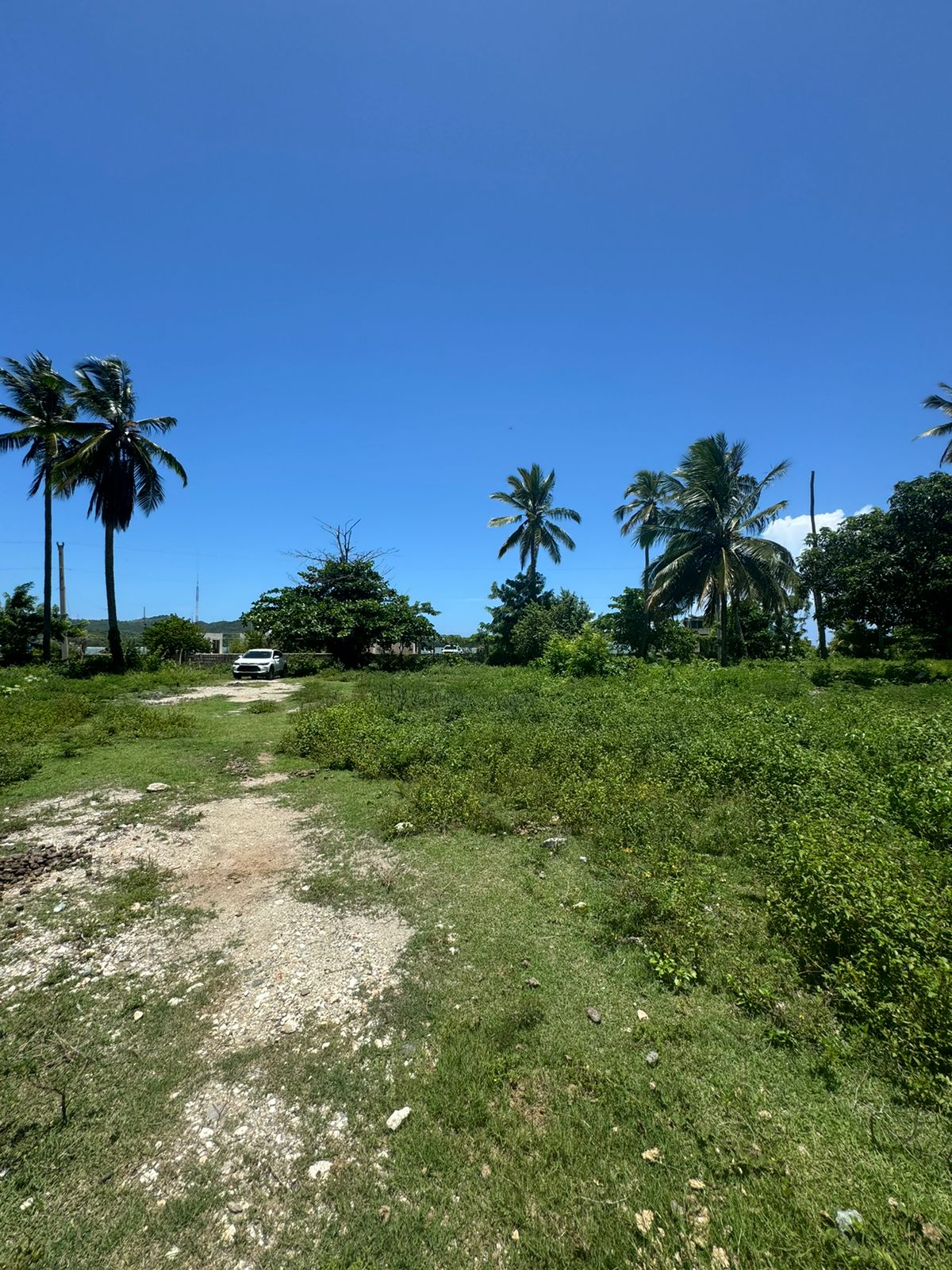 solares y terrenos - SOLAR DE VENTA EN MAIMON PUERTO PLATA 0