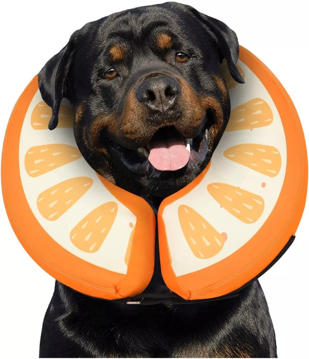 animales y mascotas - conos de dona para perros para dejar de lamer   XL