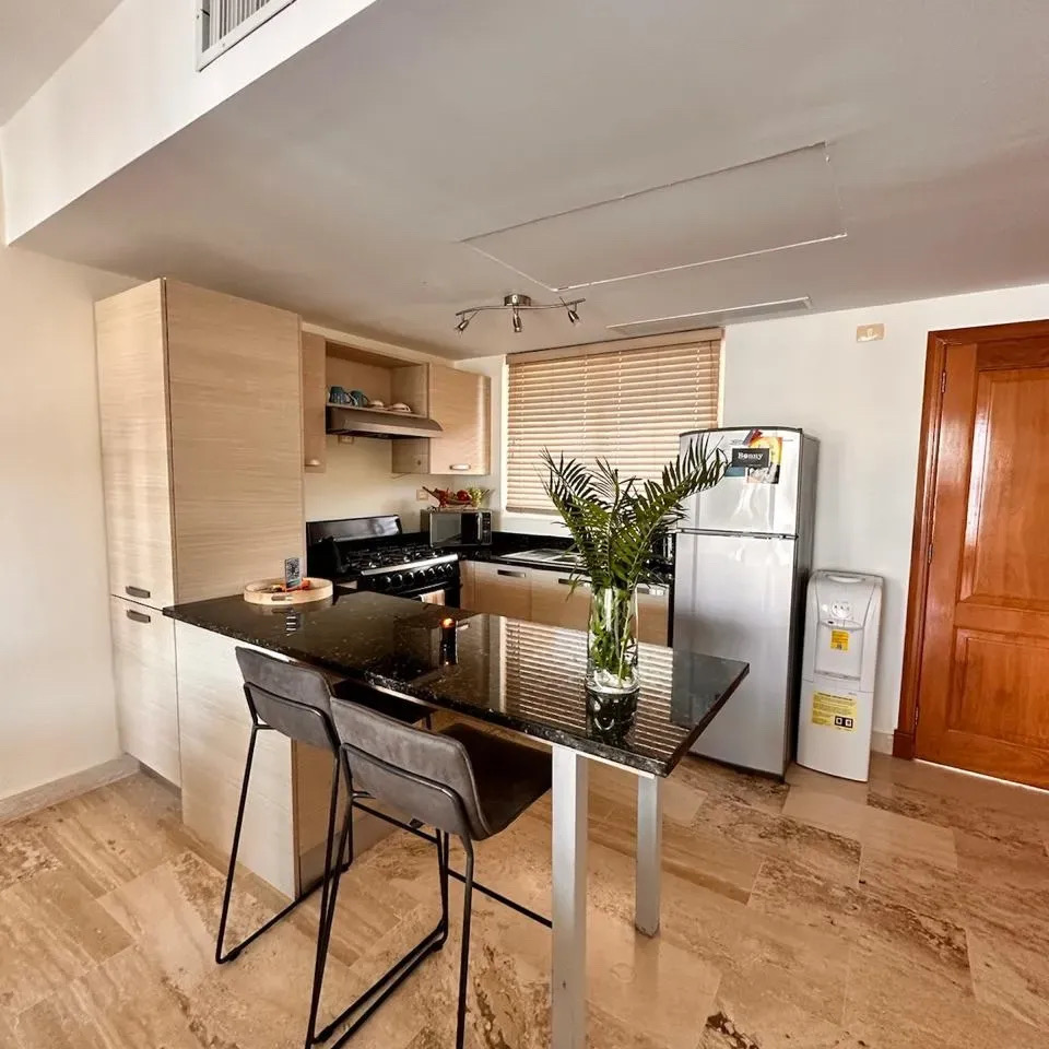 penthouses - Primera línea de Playa Penthouse en Venta en Bávaro Punta Cana 2