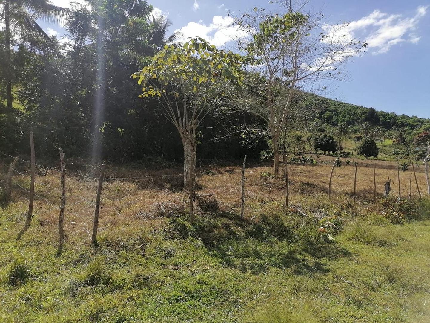 solares y terrenos - Solar cerca de Turey Cibao, Autopista Duarte con vista, en oportunidad! 6