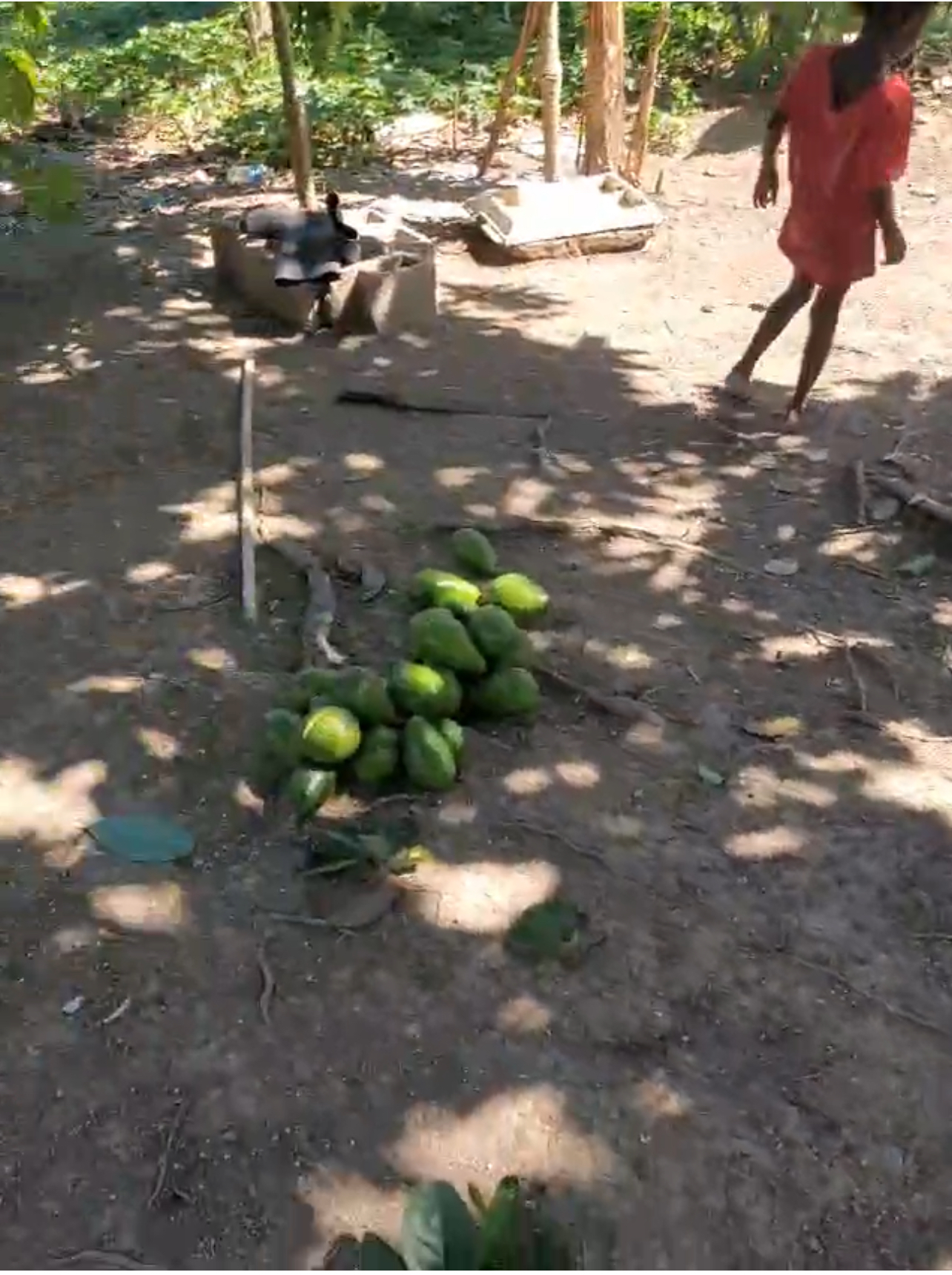 solares y terrenos - Vendo Finca o Terreno en Santo Domingo Norte 