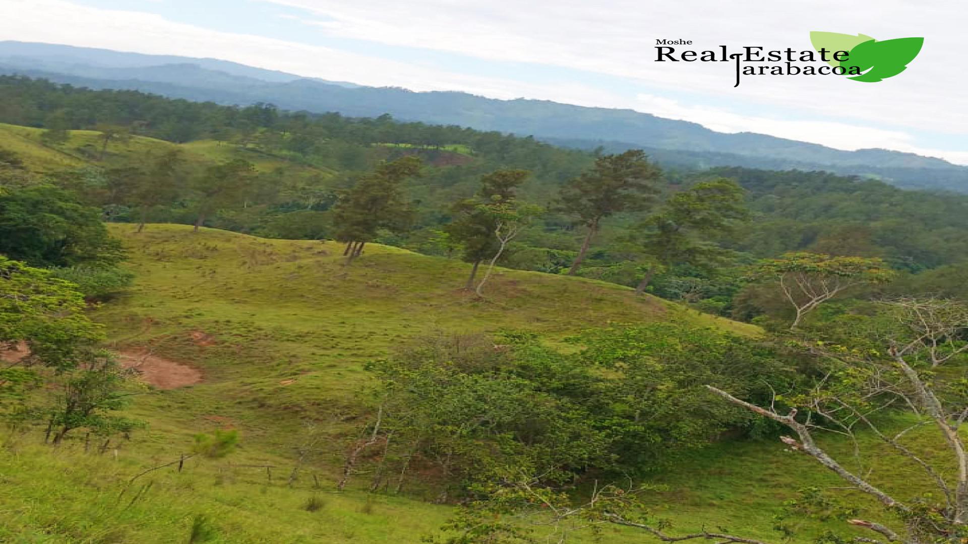 solares y terrenos - Terreno en venta en Jarabacoa 3