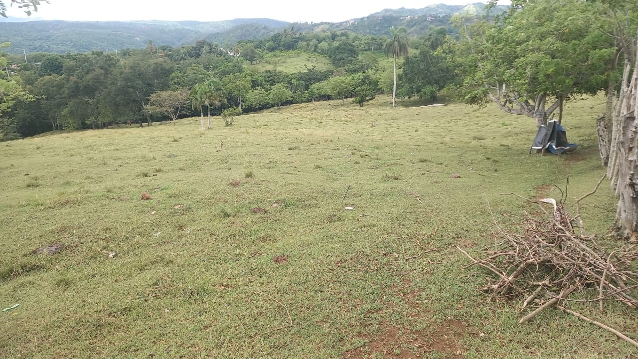 solares y terrenos - Terreno en La Vega Ideal para tu proyecto  4