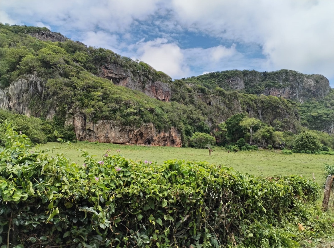 solares y terrenos - Vendo Hermoso terreno en Samana 1