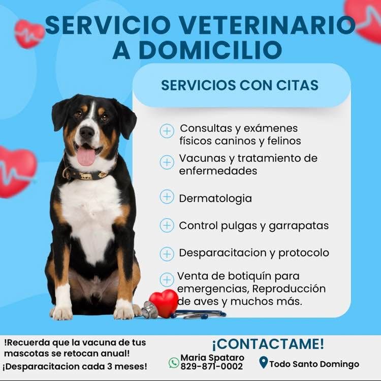 servicios profesionales - Cuida tu mascota