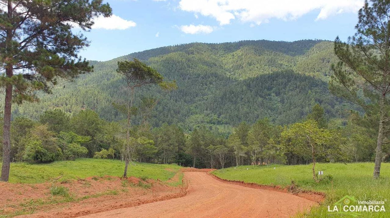 solares y terrenos - Solares en venta en Jarabacoa 2