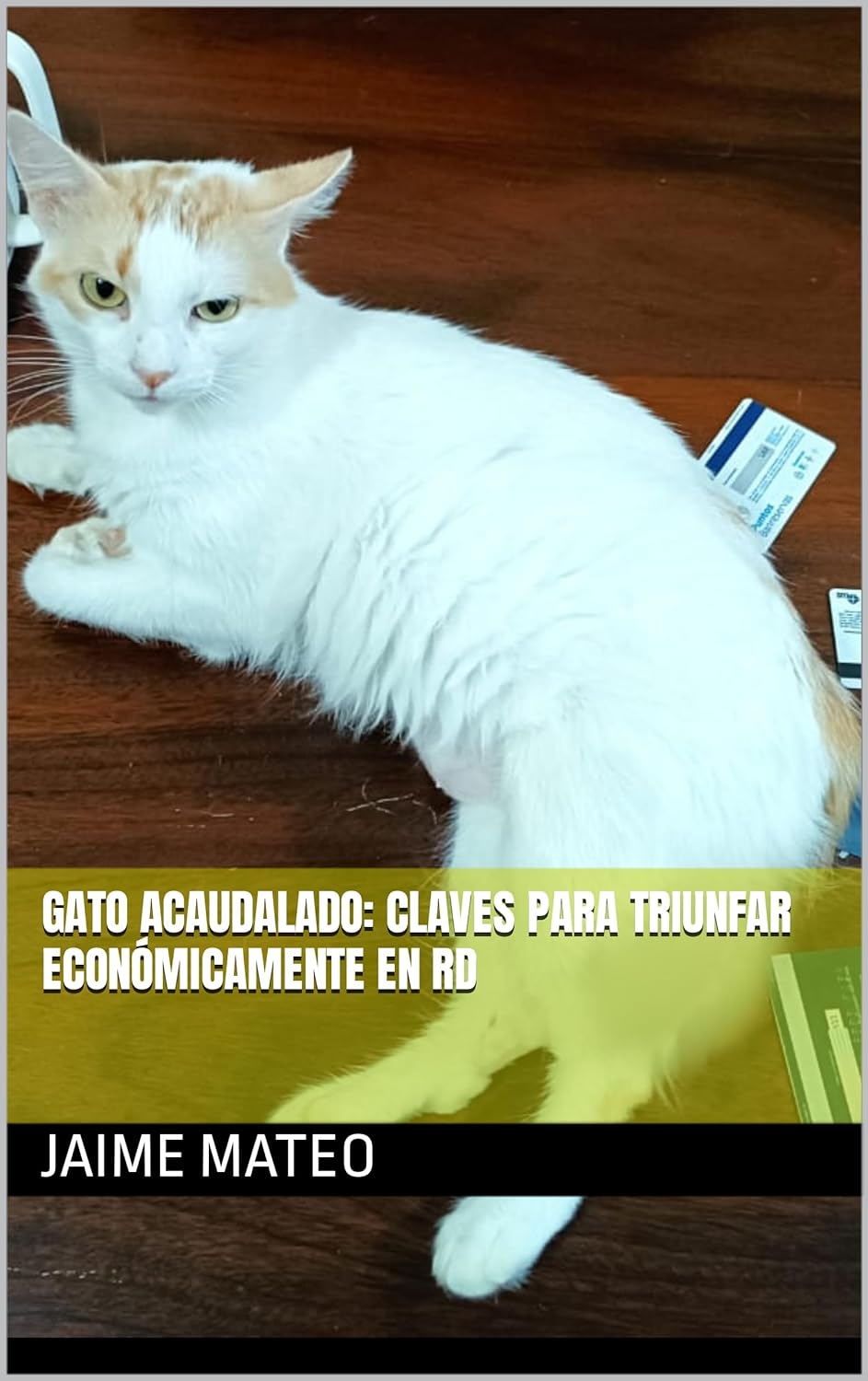 libros y revistas - Gato Acaudalado: Claves para Triunfar Económicamen