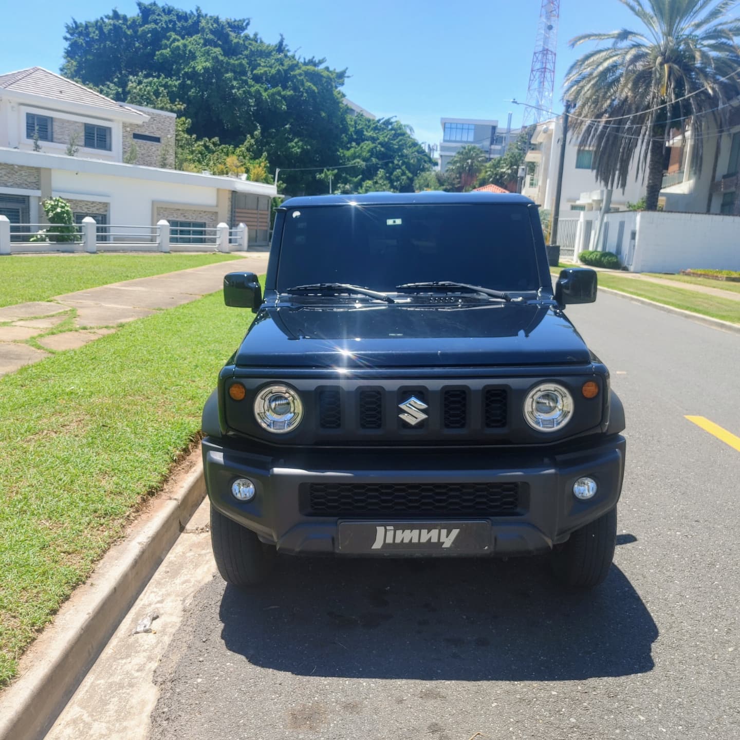 jeepetas y camionetas - Perfecto estado. Todos sus servicios en Santo Domi