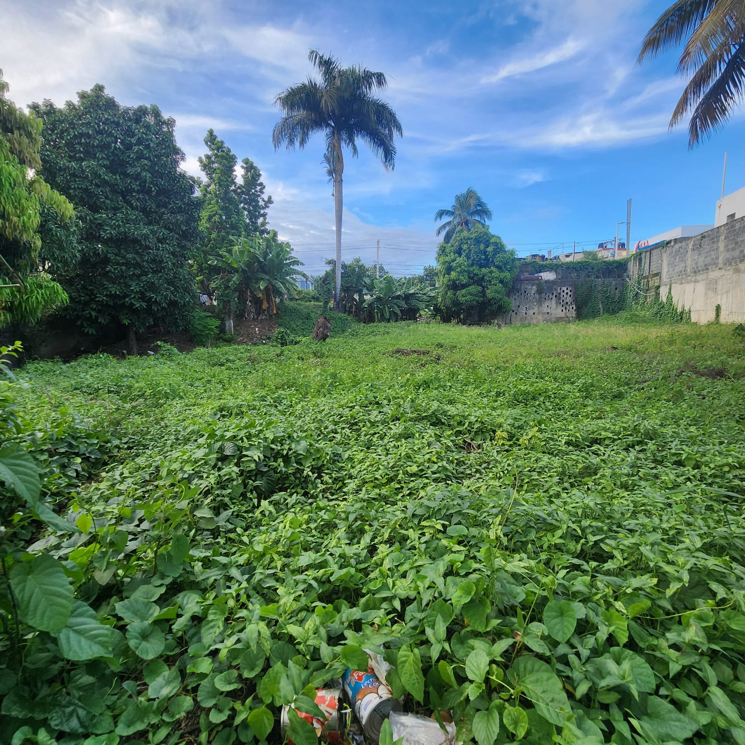 solares y terrenos - Oportunidad de Inversión 📍Vendo Terreno  3