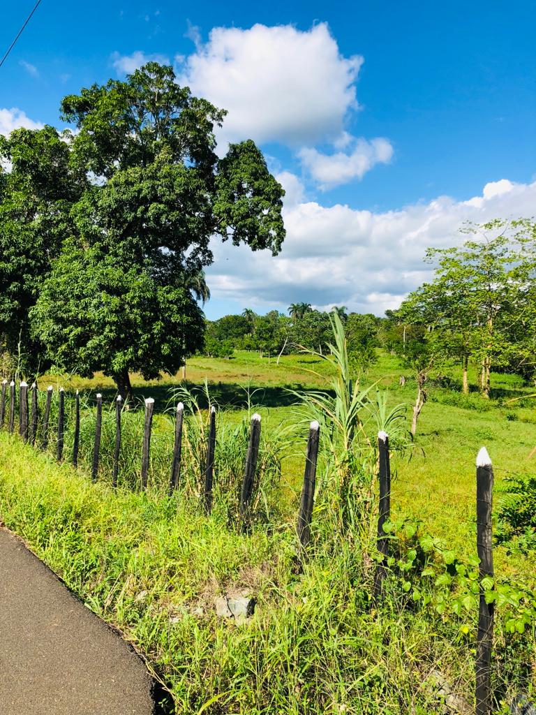 casas vacacionales y villas - Vendo finca en monte plata con casa de veraneo excelente para ganado y siembra 1