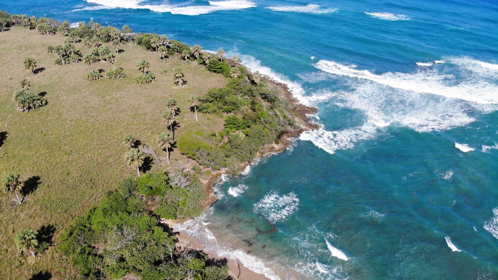 solares y terrenos - Se vende 150 tareas, gran oportunidad para inversión en la costa Norte. 0