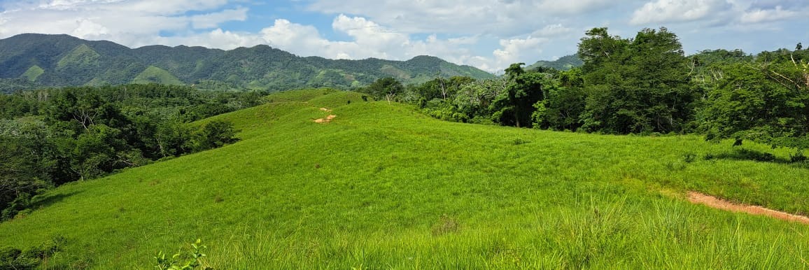 solares y terrenos - Finca en Nisibon de 3mil tareas ganadera y sembrado de Coco 0