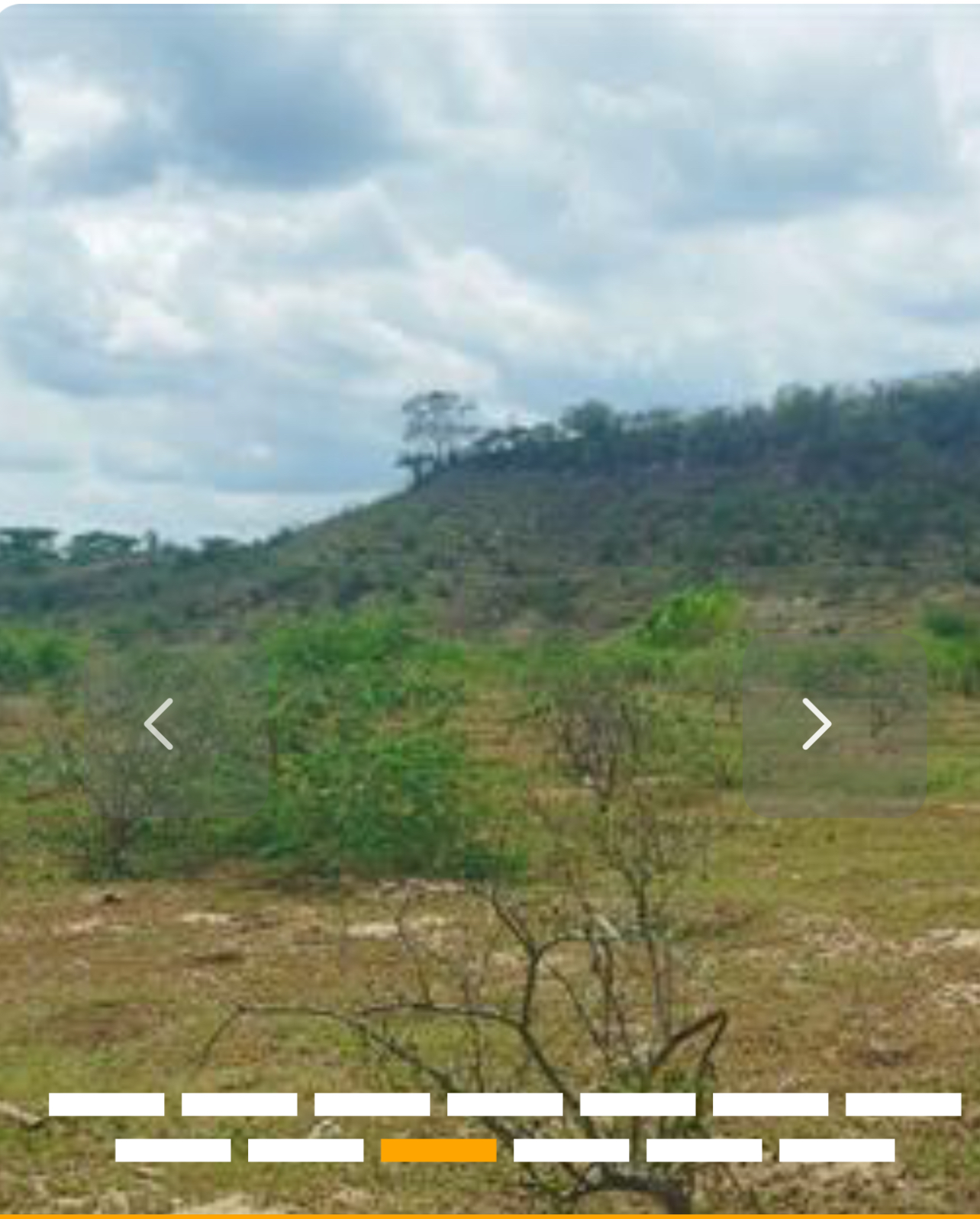 solares y terrenos - Finca Agrícola en Santiago, República Dominicana  1