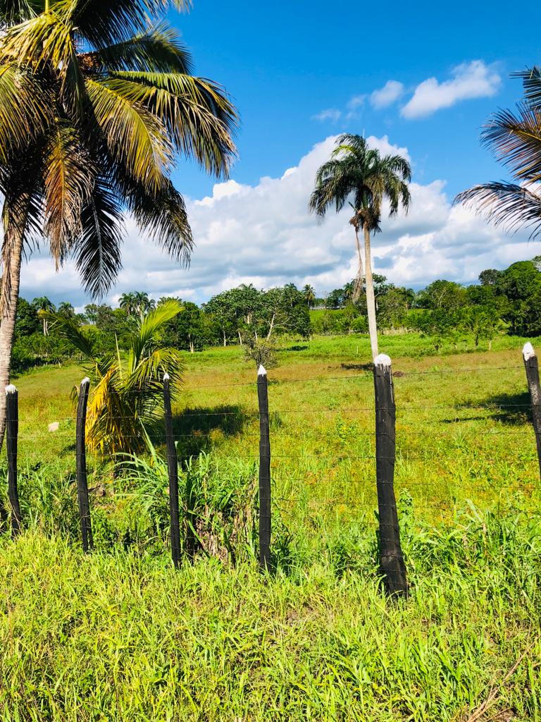 casas vacacionales y villas - Vendo finca en monte plata con casa de veraneo excelente para ganado y siembra 4