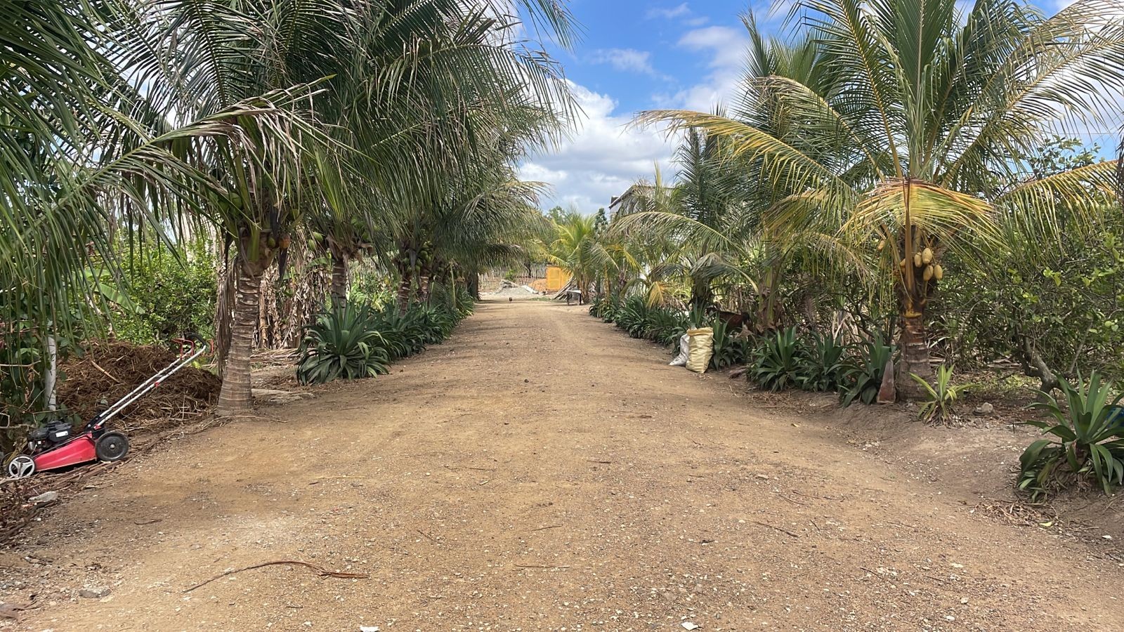 solares y terrenos - Finca Ganadera agricola y Vacacional Full en Monte Plata de 460 tareas 