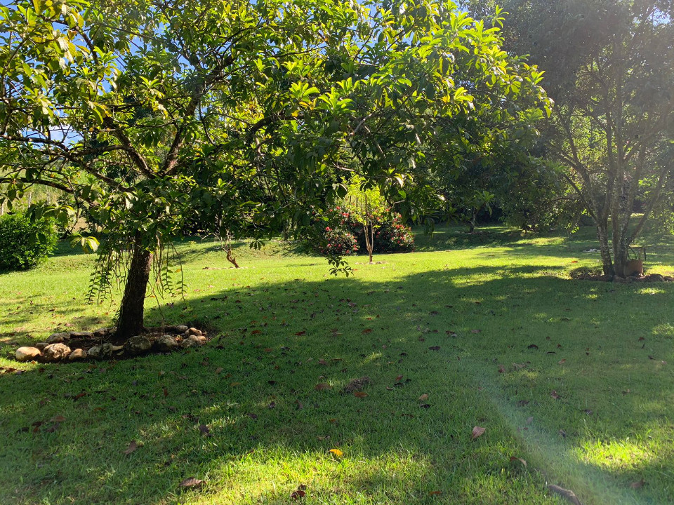 solares y terrenos - FINCA EN RANCHO ARRIBA, YABACOA, PIEDRA BLANCA, BO 8