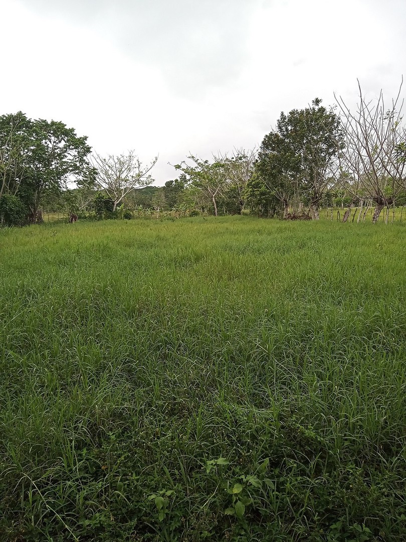 solares y terrenos - Finca en Hatillo Monte Plata de 100 Tareas Recibimos Bitcoin y Minubus  0