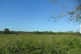 solares y terrenos - Merca de Santo Domingo solar de 34,587.22m2