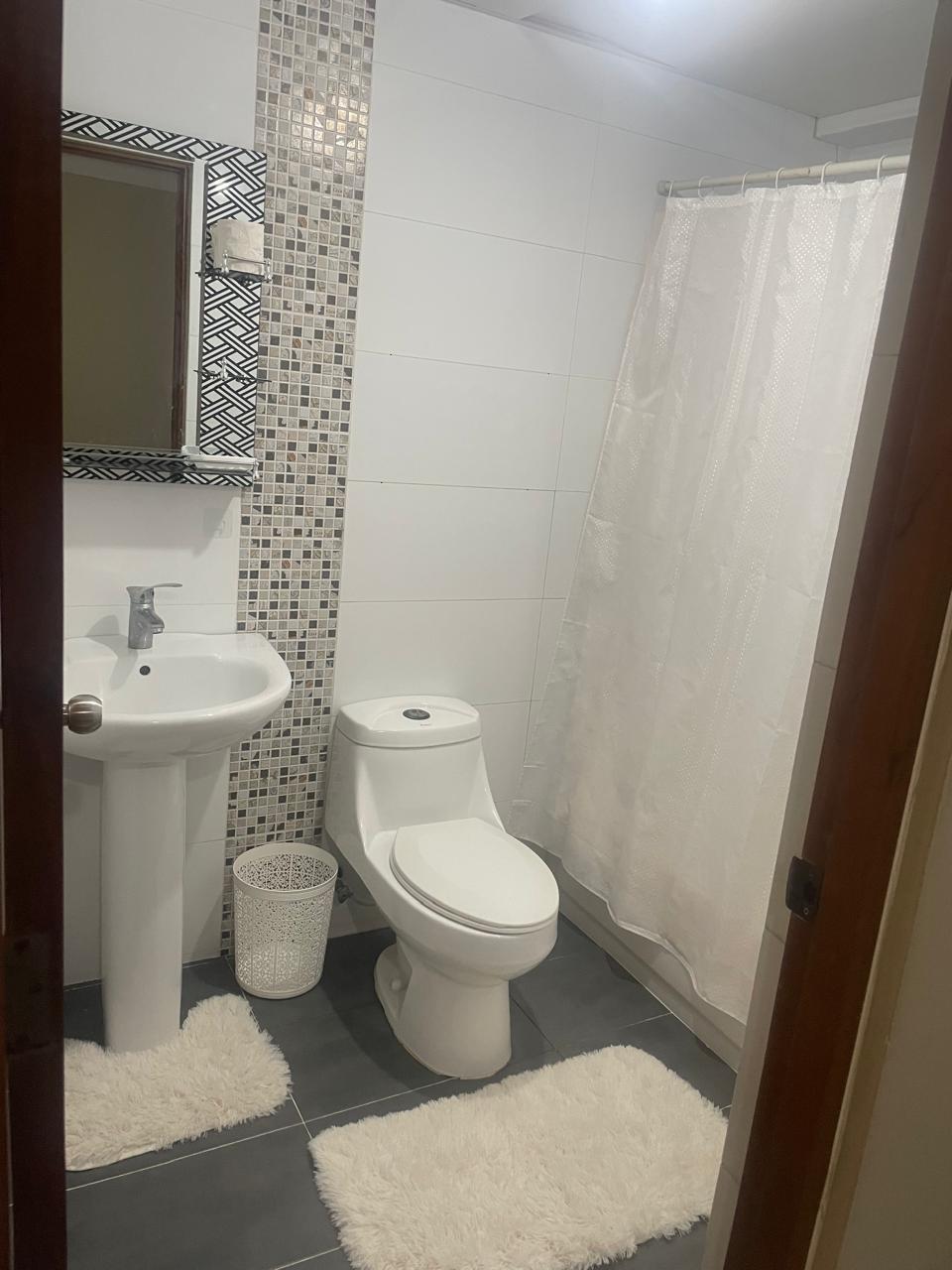 apartamentos - Apartamento Amueblado en Alma Rosa 1ra  5