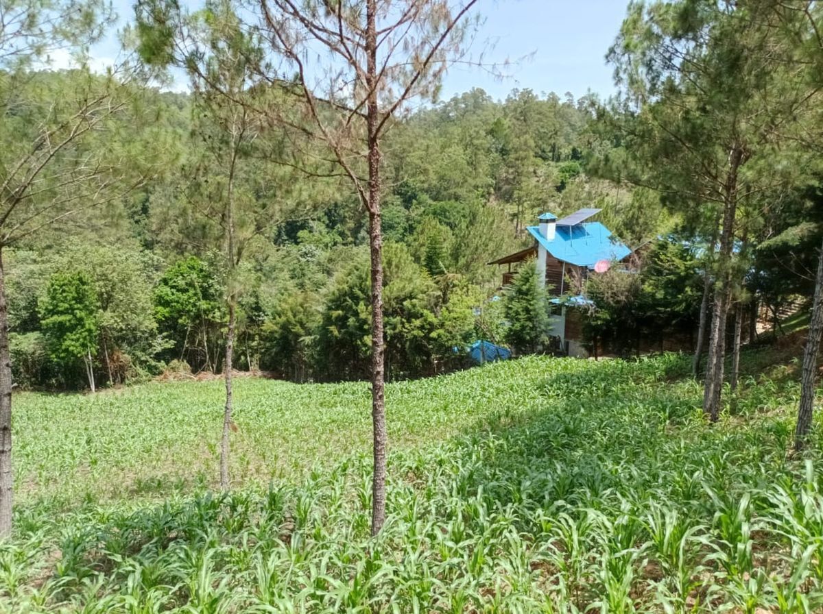 solares y terrenos - Terreno para proyecto ecoturistico en jarabacoa 2