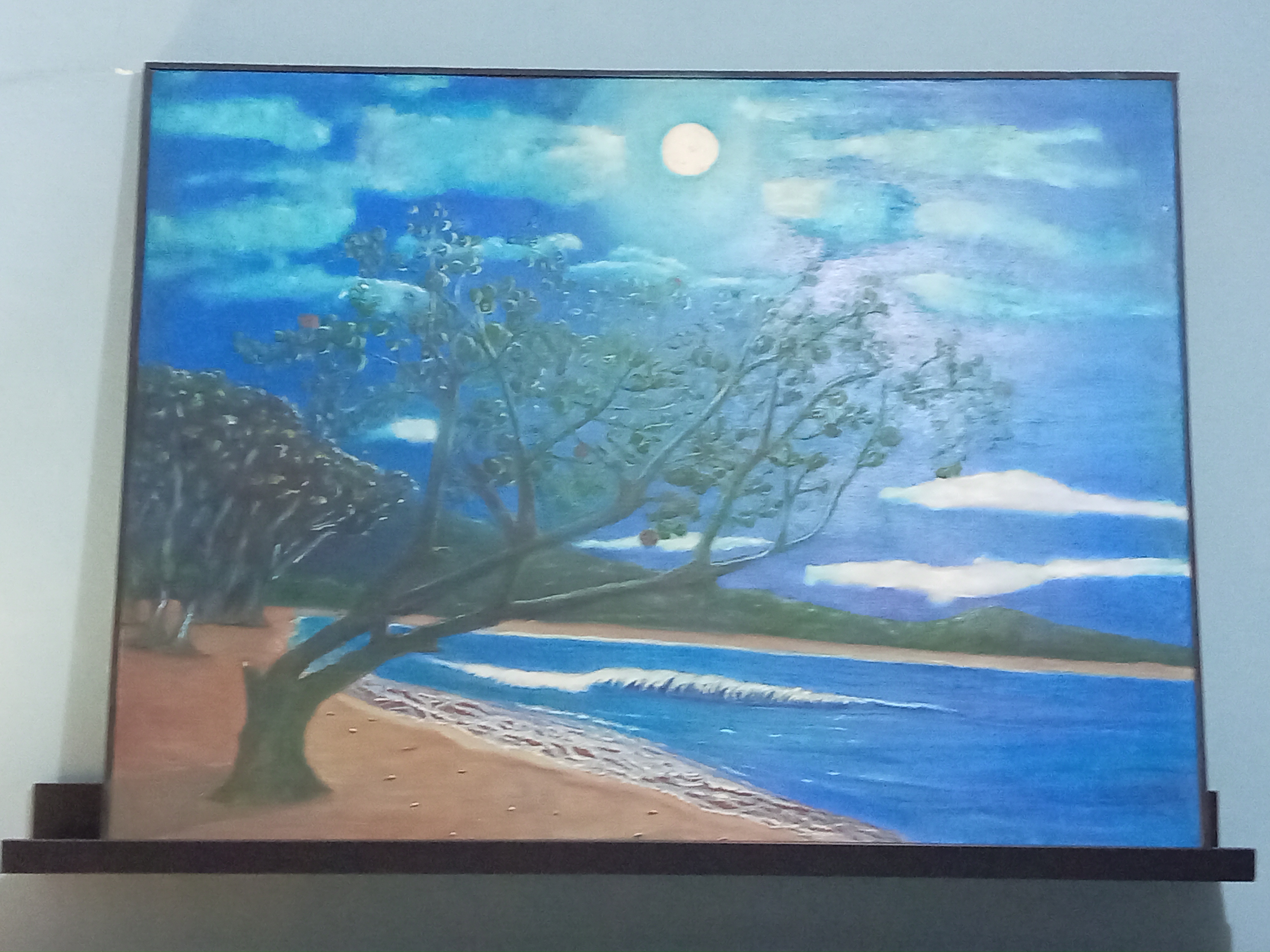 arte y antigüedades - Nocturna (Playa Costambar, Puerto Plata)