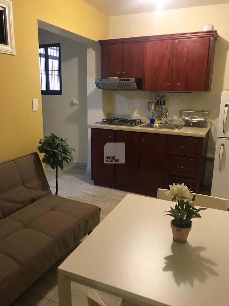 apartamentos - Apartamento estudio en alquiler amueblado al lado de Agora Mall, Serrallés, DN 3