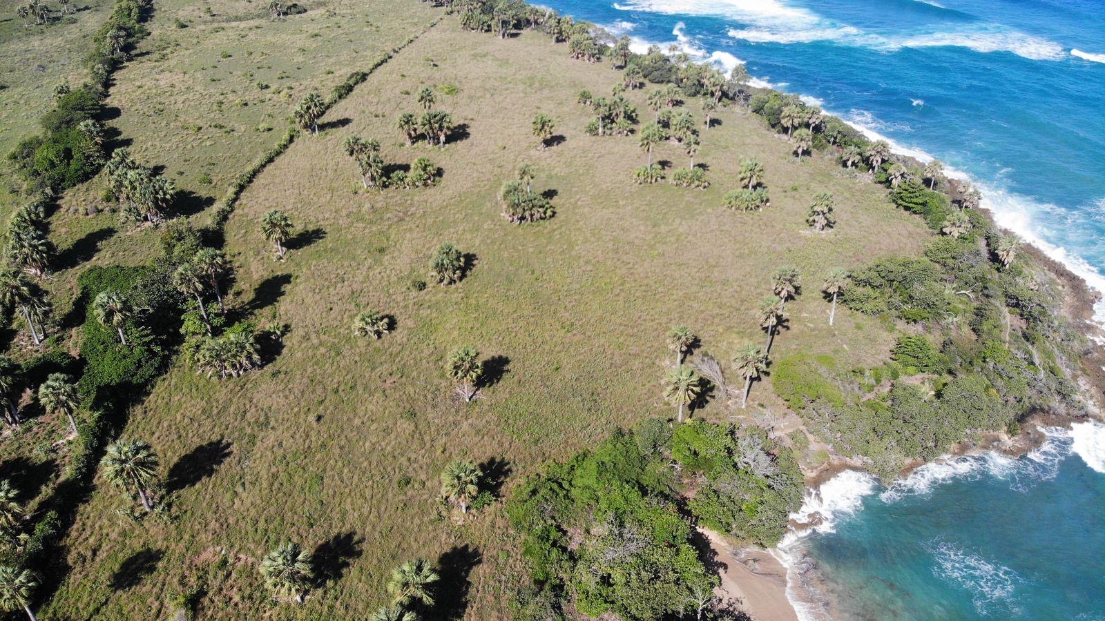 solares y terrenos - Se vende 150 tareas, gran oportunidad para inversión en la costa Norte. 7