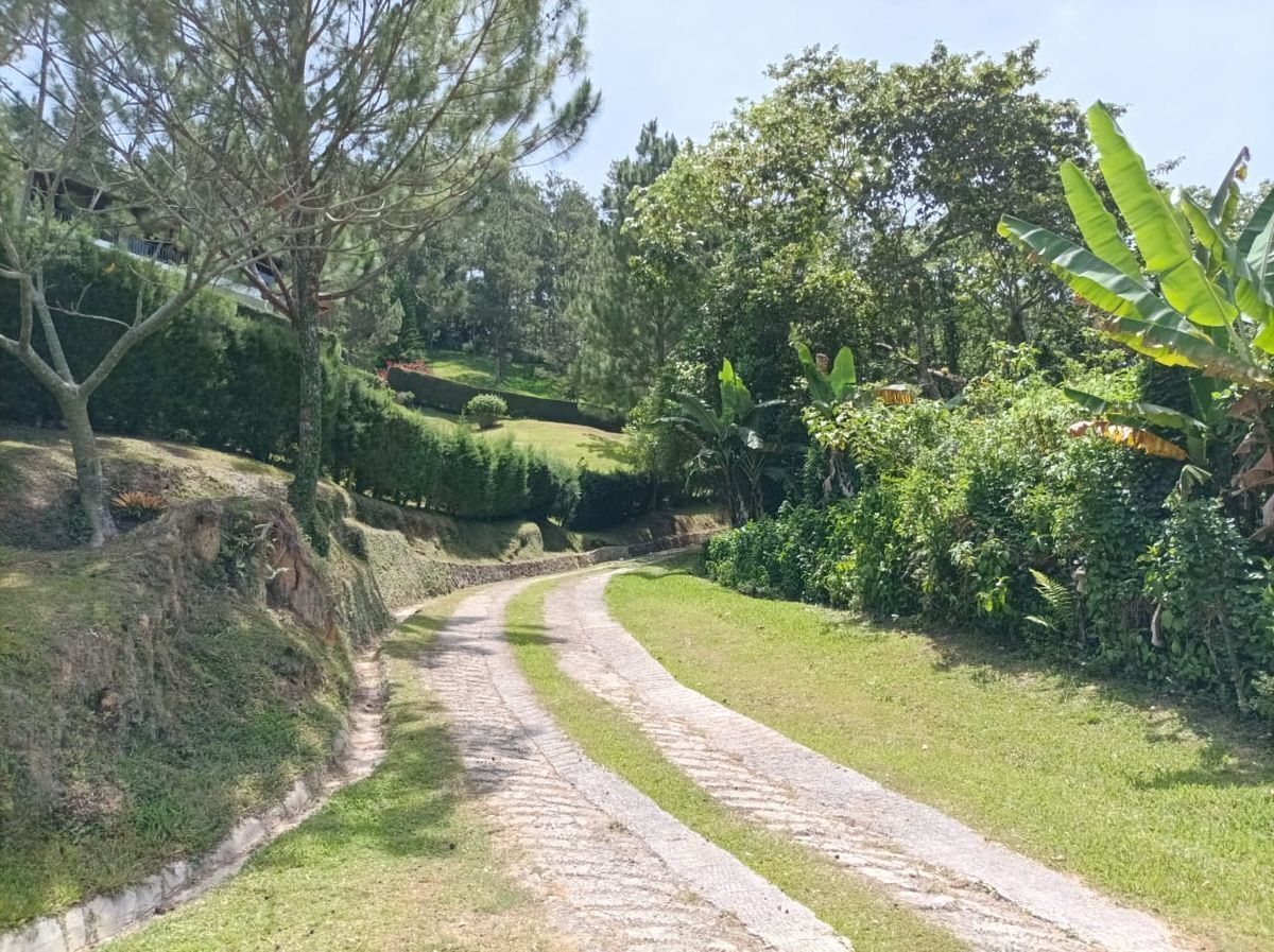 solares y terrenos - Terreno para proyecto ecoturistico en jarabacoa 7